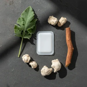 KUBOZN® Targeted Lung Cleansing Patch